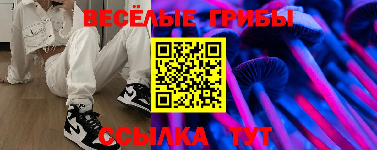 Псилоцибиновые грибы Psilocybine cubensis Нижнекамск